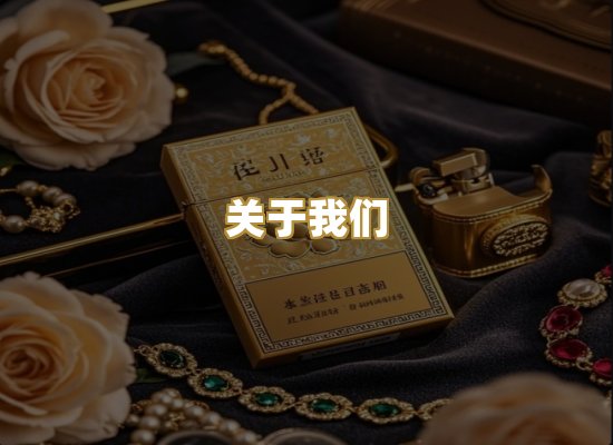 关于我们